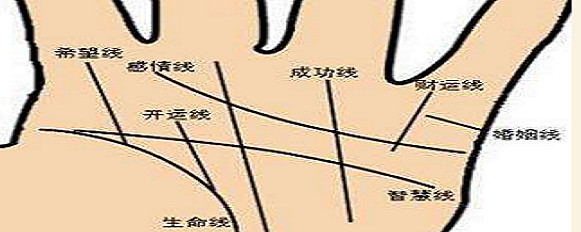 白手起家 能名扬天下的手相特征能够名扬天下的人都是有着一番作为和成就 而从手相 来看的话 那么有着做么样的特征呢 手指长的人在精神上很强 属于是思索形的