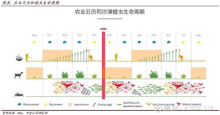 非洲蝗灾地图图片