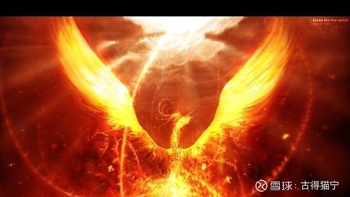 2020年是大北农涅盘重生的一年