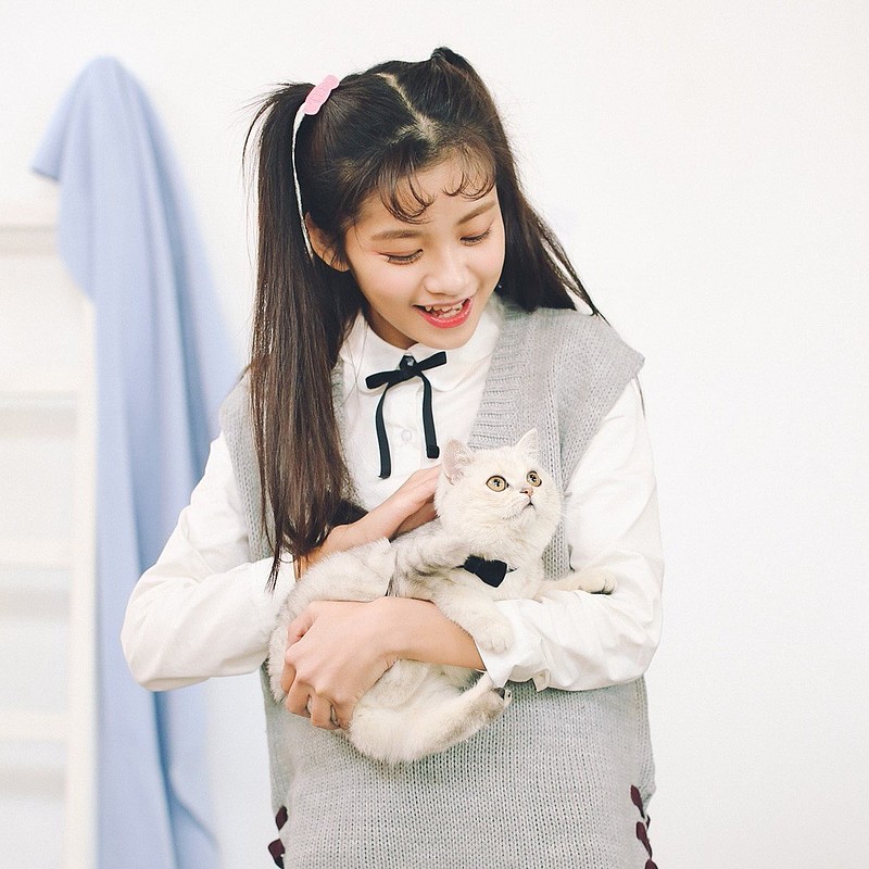 雪球草根作家系列点评no3年糕猫