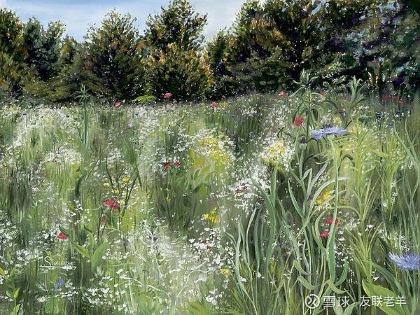 【油画】待到山花烂漫时,她在丛中笑 - 雪球