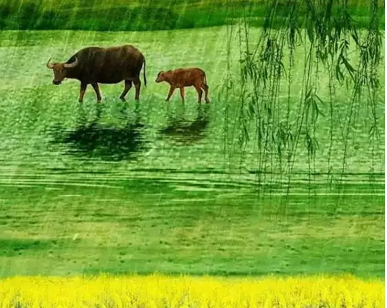 宏润建设6连板基建继续走强