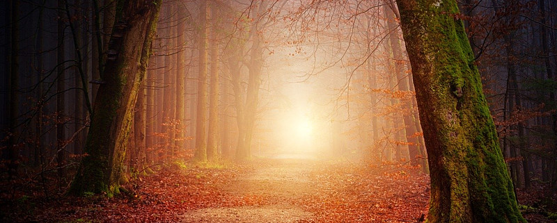 我们进入了 狼狗时间 法国有一句熟语 L Heure Entre Chien Et Loup 狗与狼之间的时间 它的意思是 太阳西