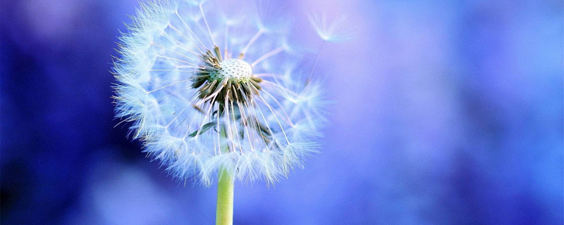 权重蓝筹就是这副熊样.真是让我昨天的话说中了.