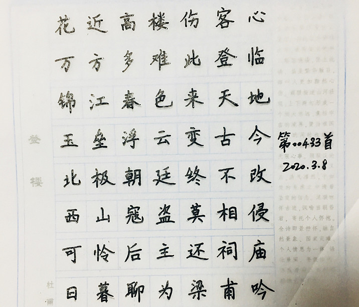 【每日一诗】第00433首登楼_____杜甫花近高楼伤客心,万方多难此登临.