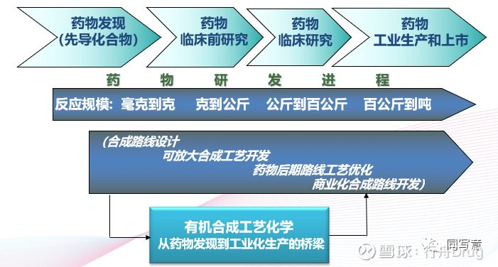 药物合成工艺