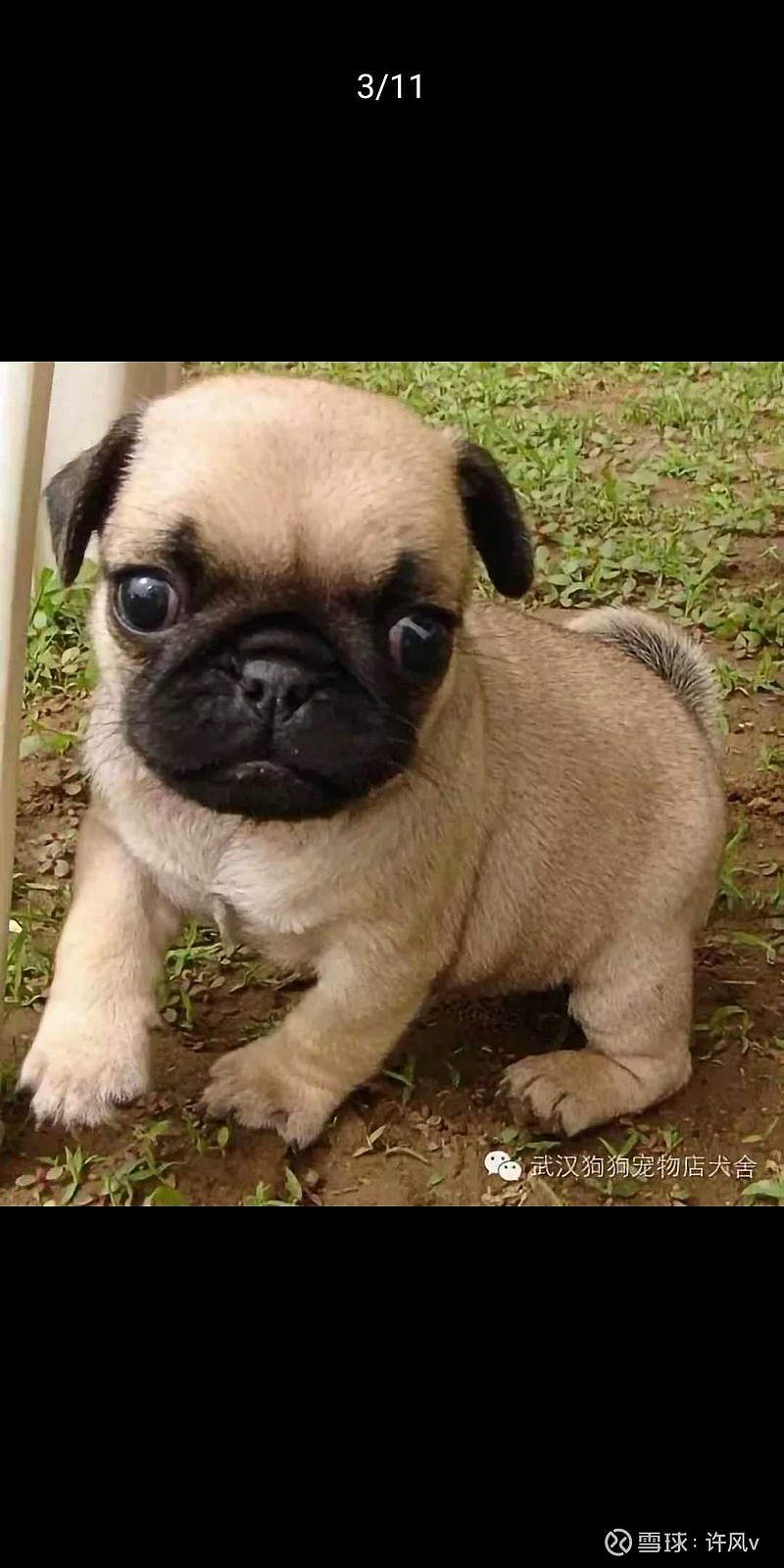 后来一研究,原来又是个黑嘴,郁闷