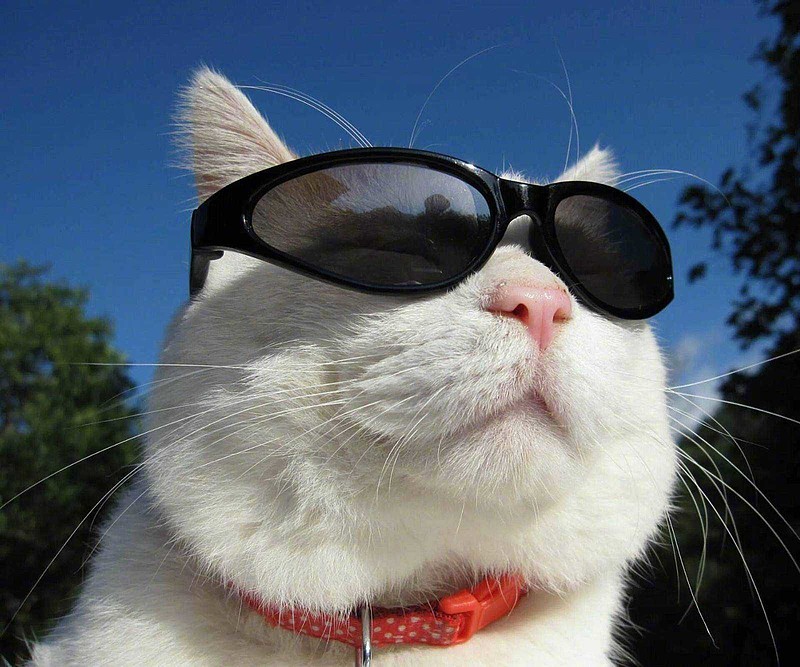 大家都不爽的时候,容我得瑟一下.