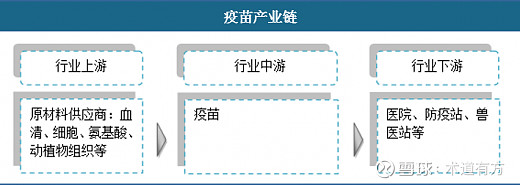 王牌渠道商智飞生物300122智飞生物基础财务分析