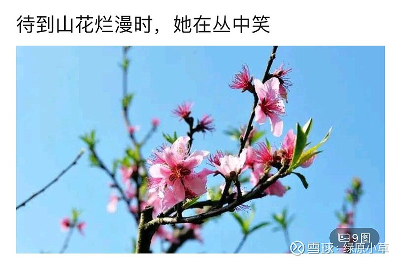 $金斯瑞生物科技(01548)$ 静静的等待 该来的不该来的都到了 三年了