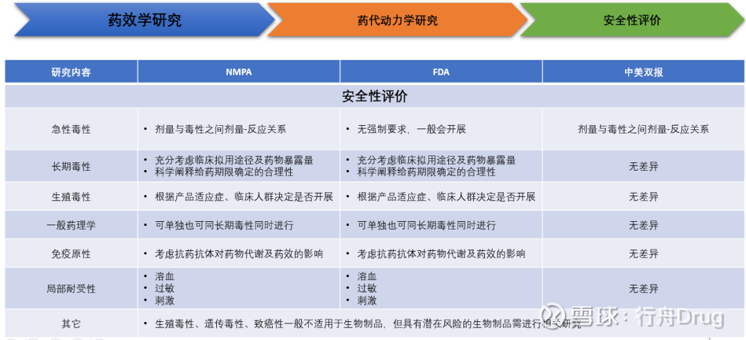 药物安全性评价