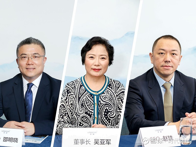 频频补仓吴亚军龙湖的底气是晴天补屋顶