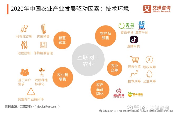 农业市场调研的重要性与现状分析——一场精准把控未来趋势之旅
