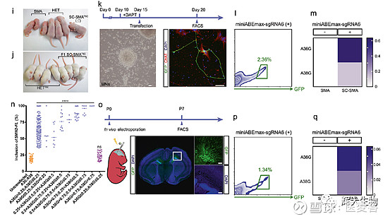 & cell 在线发表题为"modulation of metabolic functions through