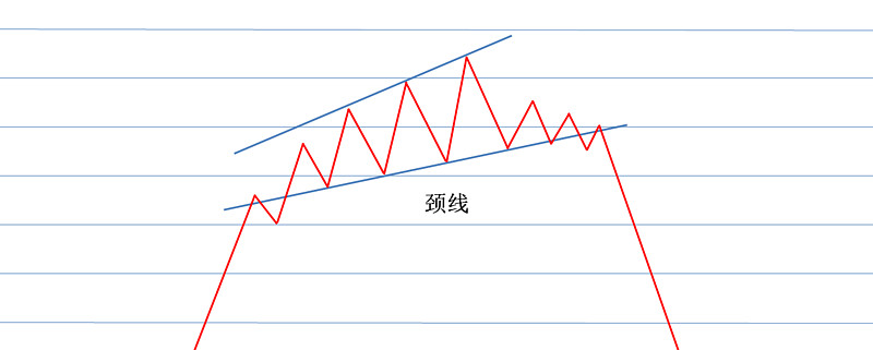 喇叭口形态图解图片