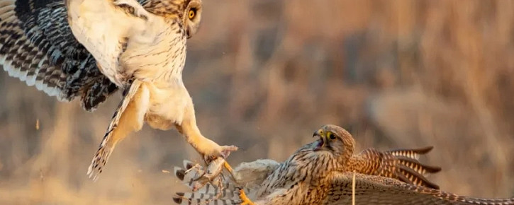 5g通讯设备等新基建再次大涨 "我还是稳如泰山,看着一半的帐面