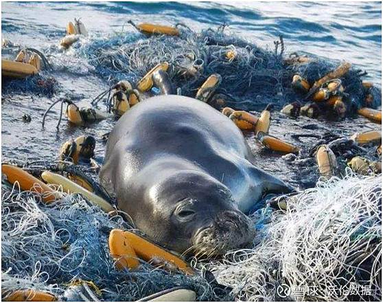 塑料污染太可怕了新版限塑令枪声响起这些行业迎来发展的黄金十年