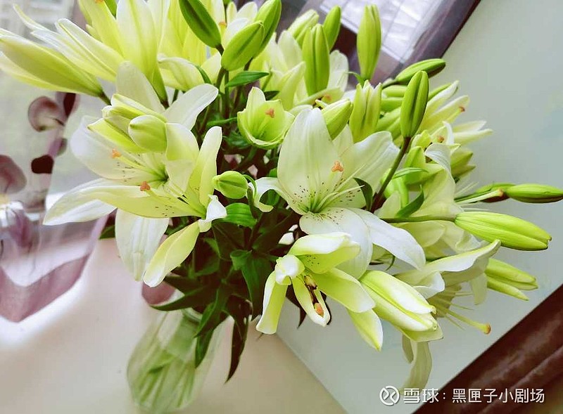 从清晨到傍晚 一鱼三吃 刺硬的包馄饨 刺软的炸骨头 百合花的花瓣中有丝丝点点红线 所以得名 眼线百合 我却觉得不够