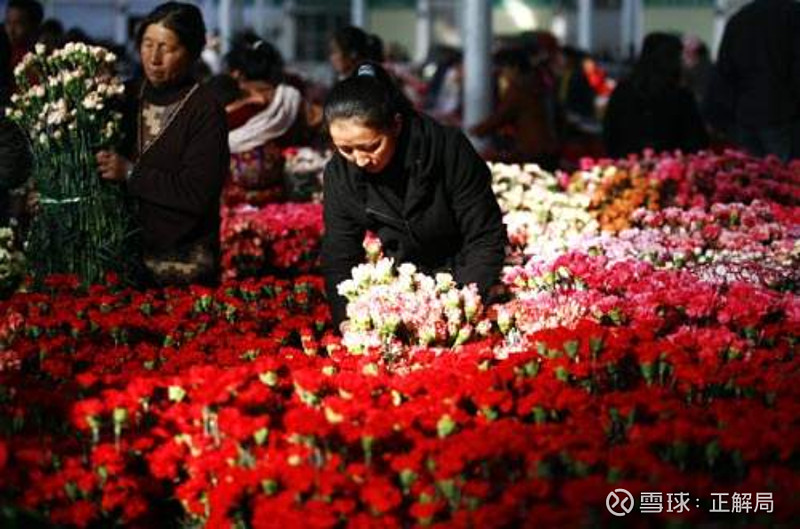 冲击世界第一的云南小镇 中国每10枝鲜花 就有7枝来自斗南 亚洲第一 世界第二大的花卉市场 去年一年卖了92亿枝鲜花 交易额74亿元 正解局出品在中国 提起鲜花 多数人第一反