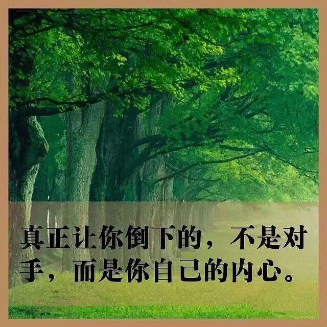 保持理性是投资者毕生的追求