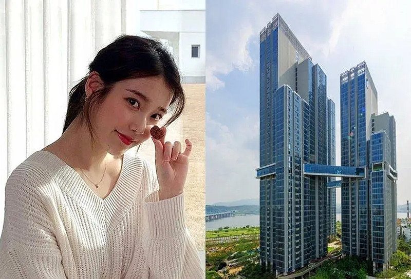 玄彬是邻居!韩综公开明星豪宅,润娥,iu超奢华,根本是高级饭店