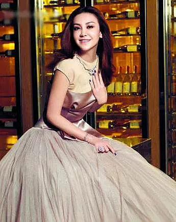 银泰老板娘,沈国军太太张婉如银泰集团,于1997年在北京创办.