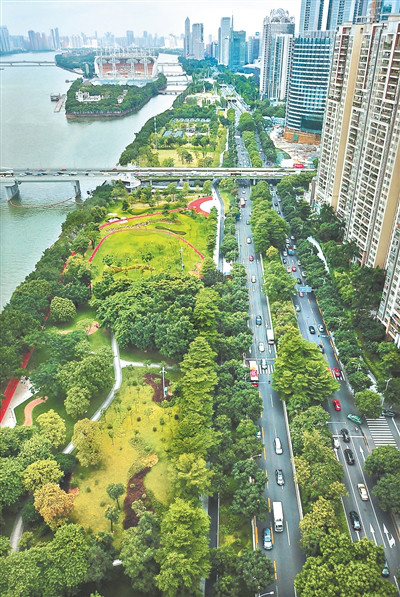 临江大道,工程施工,建成后的拥堵,噪音污染,废气污染等将对带状公园