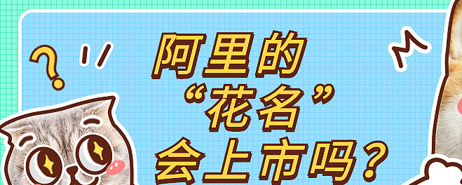 阿里的花名会上市吗
