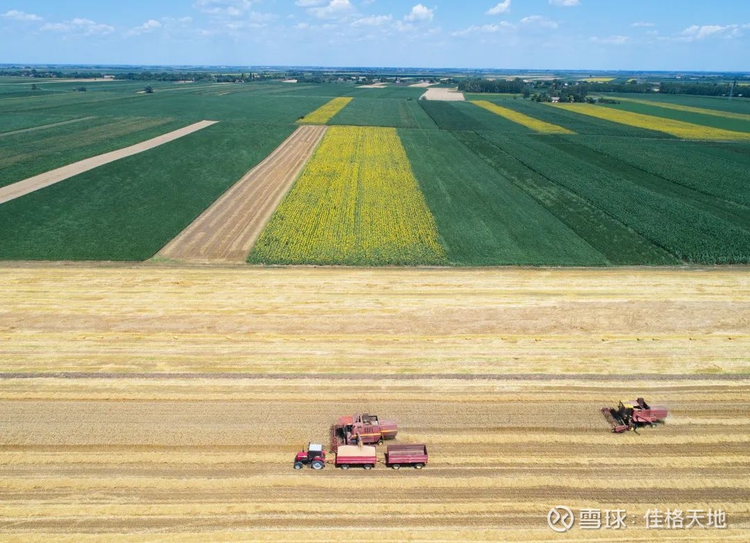 中国的粮仓是如何转移的 点蓝字关注 回复19农业白皮书马上领取最新高清版农业白皮书年新冠疫情的全球扩散让各国纷纷中断了贸易往来