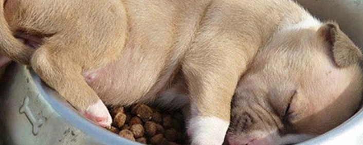 最近的行情真是墨迹,还没有碰到上面的缺口就一路屁滚尿流下来,今天