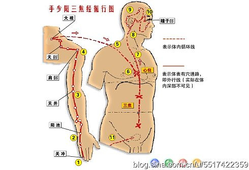 手少阳三焦经走向图片