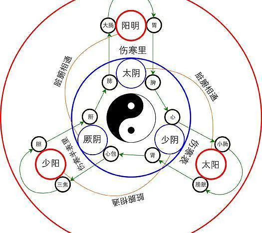 中医讲:上焦火,下焦寒,中焦不通,老病缠!中医高人常说的:“肚子软如棉,百病都不缠”,就说明中焦通了。三焦,是脏象学说中... - 雪球