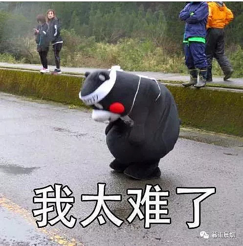 但我却忍住了,因为我知道,他们的聊天通常就是一场比惨大会.