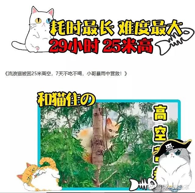 知名流浪猫救助平台 和猫住の 为何三次被封 前几天 知名猫咪救援领养平台 和猫 住の 相继在多个平台上同步了一条信息 内容是客服微信账号 Hemaozhuoo因被多人