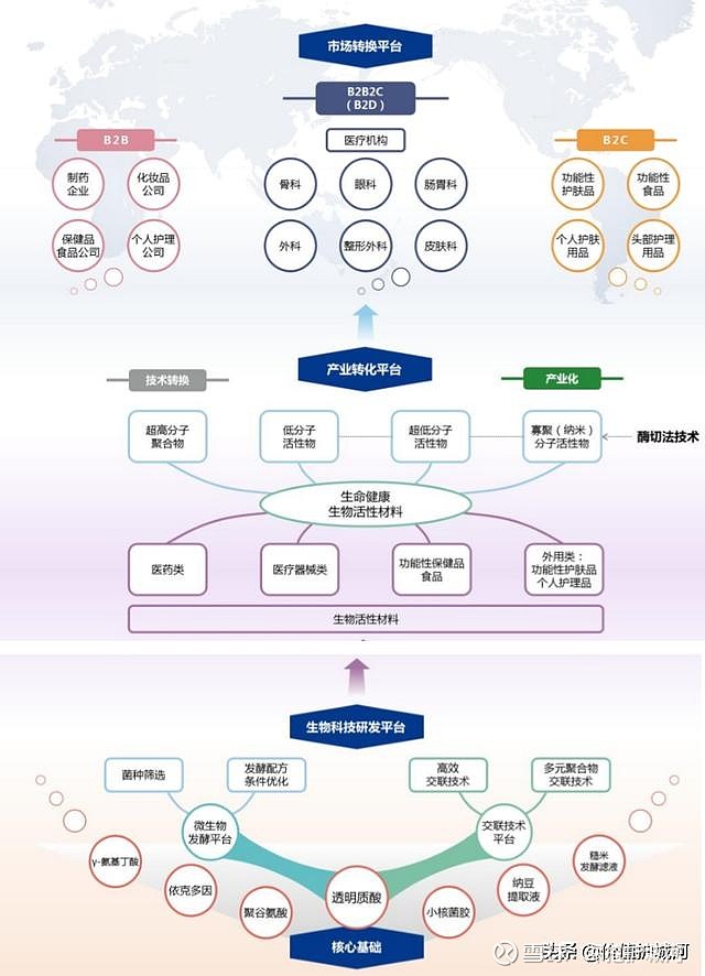 独特的一体化产业链,高效转化平台