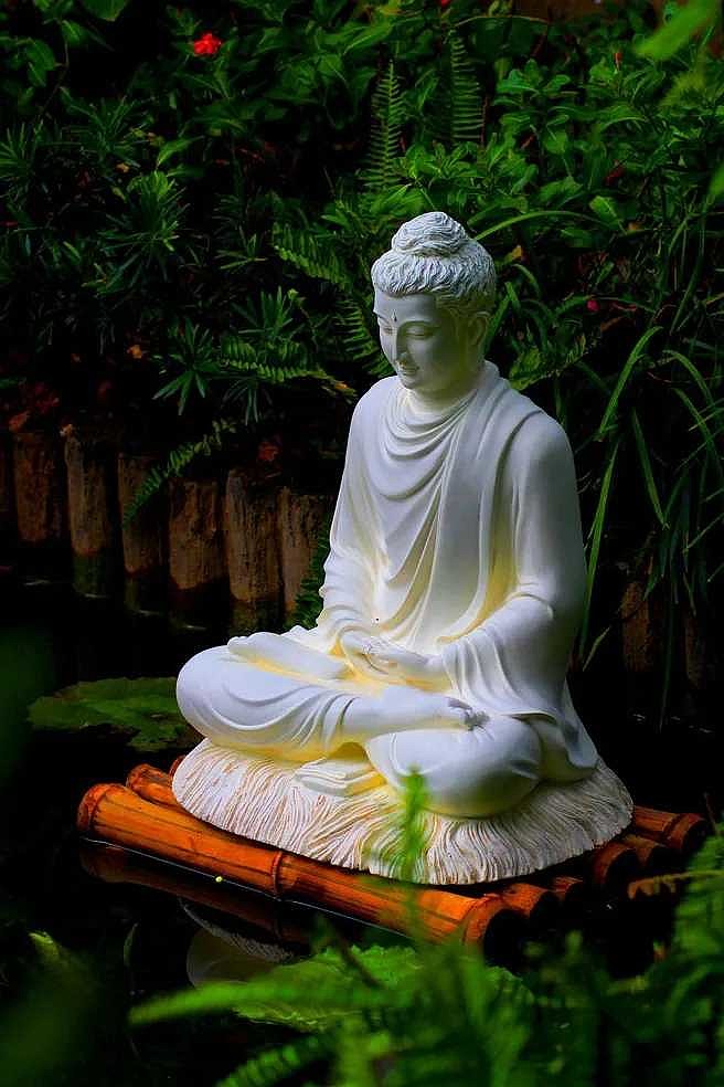 《大手印浅释》节选【顿悟与渐修】:一切众生都具足这个妙有真心,释迦