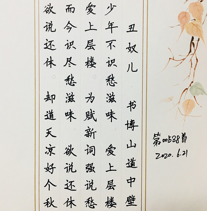 【每日一诗】第00538首丑奴儿·书博山道中壁_____辛弃疾少年不识愁