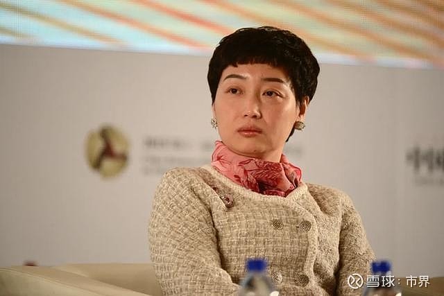 黄光裕出狱要不先直播带个货国美3亿美元联手拼多多京东