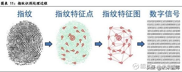 生物识别技术产业发展深度报告指纹与人脸识别