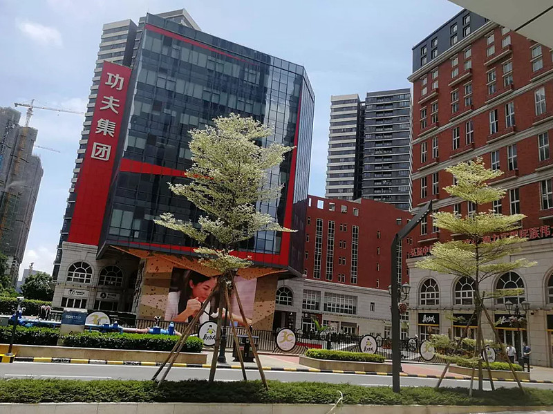 近日,一个名叫功夫小镇的项目成功引起了楼市君的注