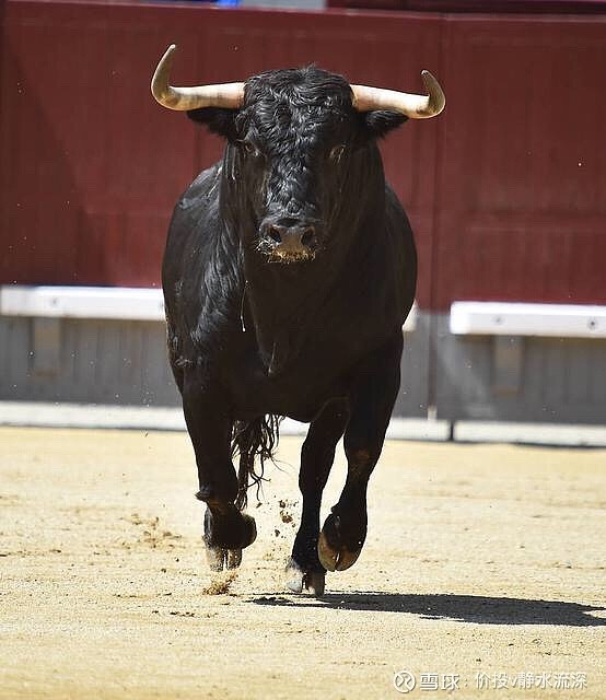 券商,等到蛮牛奔跑的时候你会发现越来越多的人在写券商的文章而那时