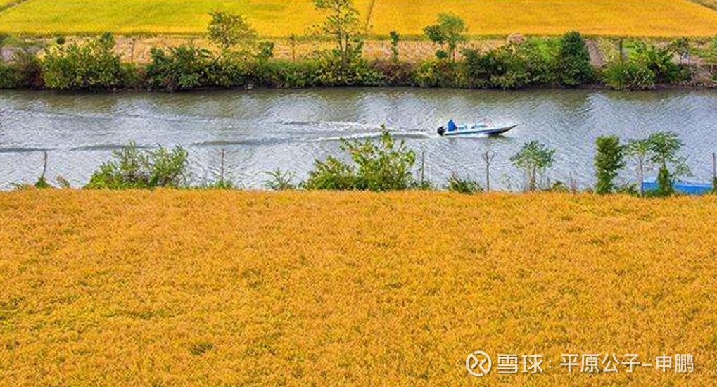 一条大河波浪宽 说的是哪条河 我们小时候都唱过一首歌 叫做 我的祖国 开头第一句就非常优美 叫做 一条大河波浪宽 风吹稻花香两岸 几年前 台湾