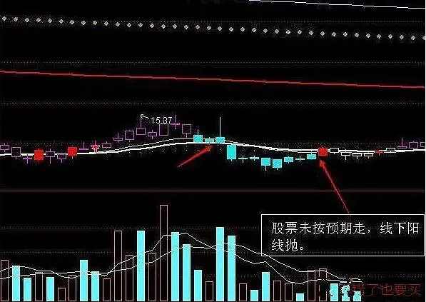 5年前5178点买入5万元海天味业,一直拿到2020年赚多少?