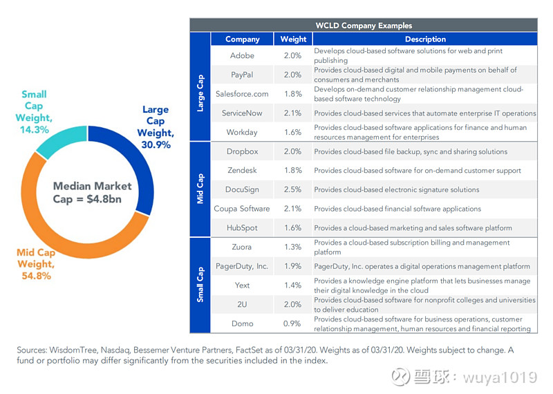 Wisdomtree Cloud Computing Fund Wcld 如果你对云计算 主要是一些saas类 的