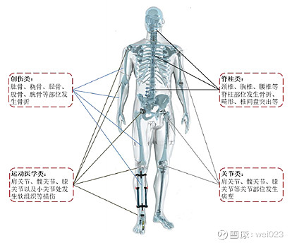 大博医疗研究报告 大博医疗 Sz 成立于04年 17年登陆资本市场 是一家以骨科 神经外科 微创外科为主的综合性