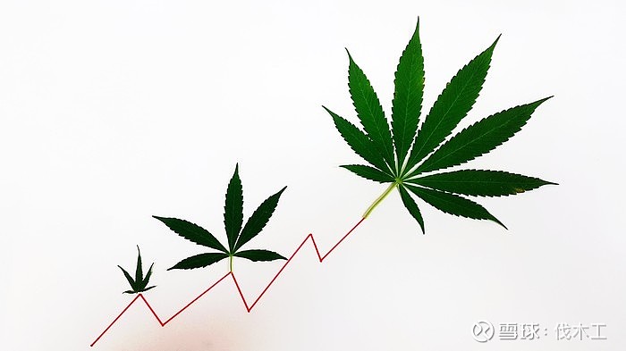 年下半年要购买的3种顶级大麻股票年下半年要购买的3种顶级大麻股票 Growgeneration Grwg 在上半年 三分之二被评为大赢家