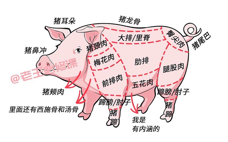 10000吨猪肉跑步进场破解生猪背后的金融谜题