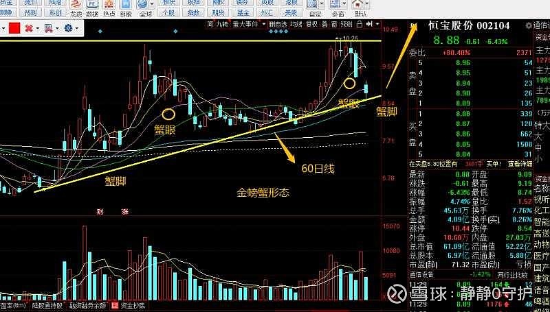 金螃蟹形态图解图片