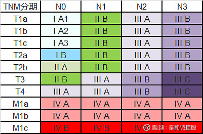 肺癌tnm分期第9版图解图片