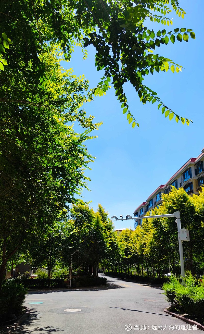 复杂的心情近2万的步数朗朗晴天不管怎样7月的最后一天总结过去展望